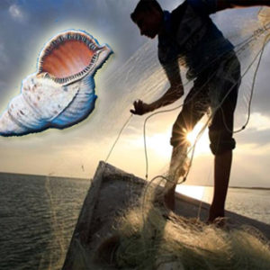 Η ψαροπούλα, οι ψαράδες και τα φρέσκα ψάρια τους