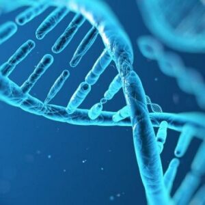 Προληπτική γενετική ιατρική και μια βιοηθική θεώρησή της