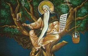 Όσιος Δαβίδ ο εν Θεσσαλονίκη, Η εμφάνιση του Αγγέλου, το μήνυμα του Κυρίου και η ευλογία να κατέβει από το δέντρο,  τα χαρίσματα!